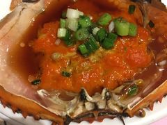 -沪碟·精菜坊(闵行店)