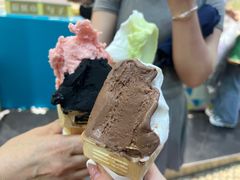 -柠檬车露(卖草地店)