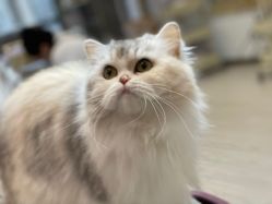 -Beauty Nails 美甲美睫皮肤管理