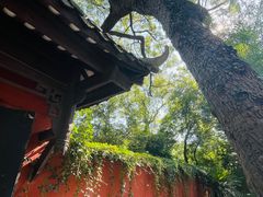 -白帝城·瞿塘峡景区