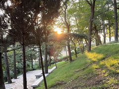 -观象山公园