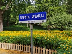 -香山公园