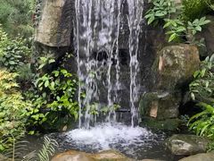 -南山植物园