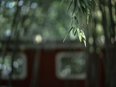 -望江楼公园