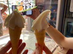 鲜奶冰淇凌-古老冰山特色冰淇淋店(艾提尕尔店)