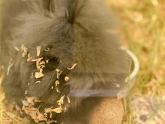 -龙猫仔乐园(惠福东路店)