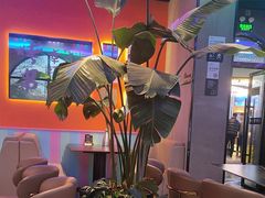 -沈胖子音乐烤吧·炒菜·龙虾(环城东路店)
