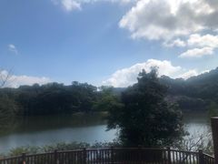 -广州市石门国家森林公园