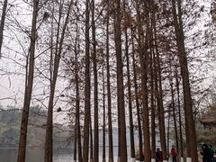 -重庆彩云湖湿地公园