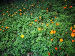 -白塘生态植物园