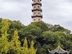 -江心屿景区