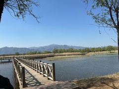 -野鸭湖国家湿地公园