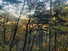 -秦岭风景区