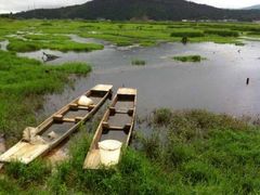-腾冲北海湿地