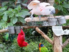 -南宫五洲植物乐园
