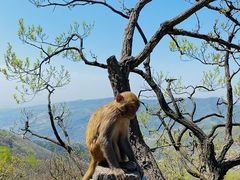 -红双喜海鲜淮扬菜·港城美食名片(海昌北路店)