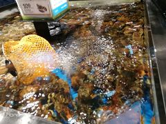 -盒马鲜生(岭南新世界店)
