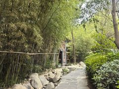 -西安国际创新人才交流中心•药浴温泉