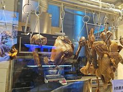 -陆记鹅庄·潮汕菜·狮头鹅(大仟里店)