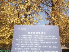 -汉景帝阳陵博物院