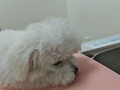 -美联众合24小时·皮肤科·外科·全科诊疗中心(华苑分院)