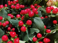 -爱尚幸福鲜花(上地实体店)