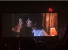 -枫花园汽车电影院(朝阳公园店)