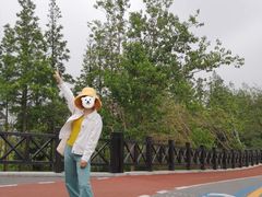 -上海长兴岛郊野公园