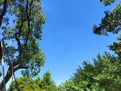 -石台牯牛降景区