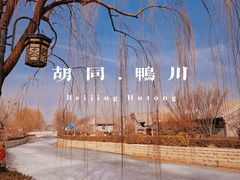 -南锣鼓巷