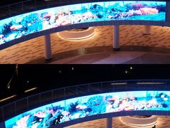 -深圳市宝安体育中心体育场