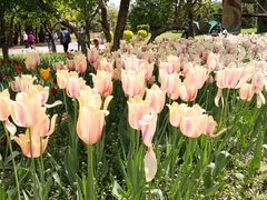 -长春公园(普阳街道)