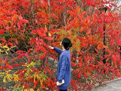 -小绿谷公园
