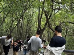 -紫金山天文台