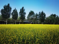 -长白岛森林公园