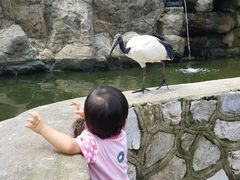 -吉隆坡雀鸟公园