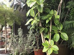 -观宴·品质赣菜(高新大道店)