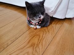 -仲雅水果大卖场(仲雅苑店)