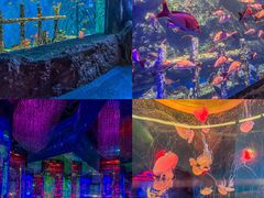 -南昌融创海世界