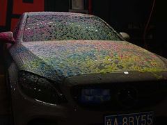 -F19·圣科·BOP·超佩贴膜(亦庄店)