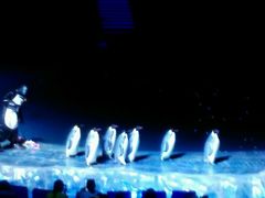 -珠海横琴长隆《卡卡虎奇遇记》