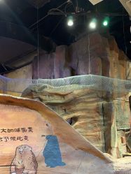 -奇幻萌宠部落(映月湖环宇城店)