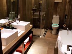 -常州环球恐龙城维景国际大酒店