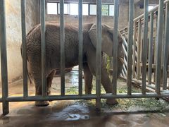 -石家庄市动物园