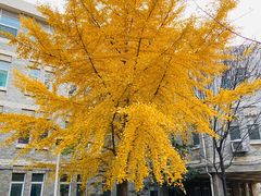 -辽宁大学(崇山校区)