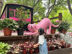 -合肥滨湖国家森林公园