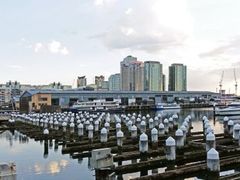 -墨尔本滨海港区