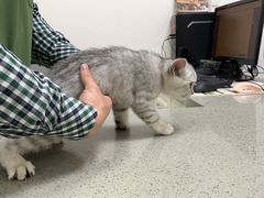 -安安宠医安欣宠物医院