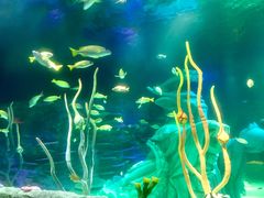 -沈阳海洋探索中心