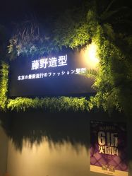 点击看大图 -藤野造型